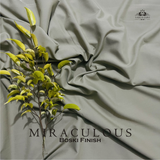 Miraculous - LAALI & LAALI